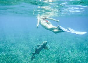 DeziStyle Belize Shark Ray Alley Snorkle