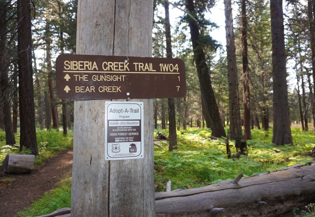 DeziStyle Siberia Creek Trail